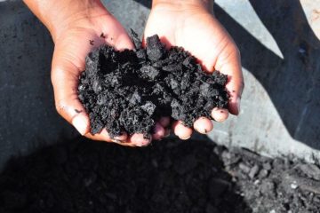 ABII Gandeng IDSurvey Perkuat Ekosistem Biochar