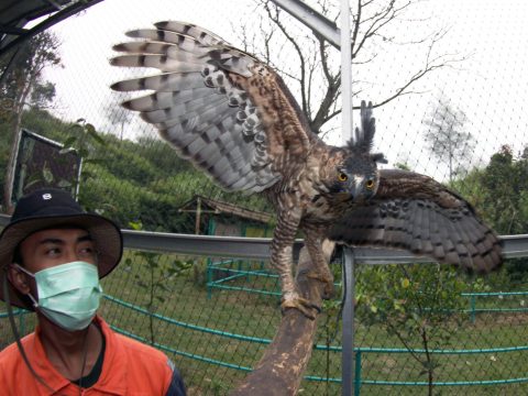 PGE Buktikan Bisnis Panas Bumi Selaras dengan Perlindungan Ekosistem