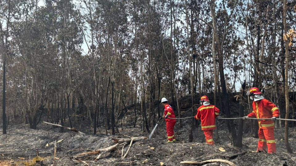 Tim Gabungan Berhasil Padamkan Karhutla di Fasilitas Pipa Minyak Medco
