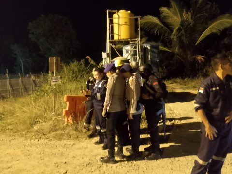 Kebakaran Hutan Dekati Fasilitas LNG bp Tangguh, Kementerian ESDM Gelar Rapat Darurat