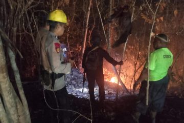 Makin Gawat, Karhutla Mulai Dekati Fasilitas Produksi Migas