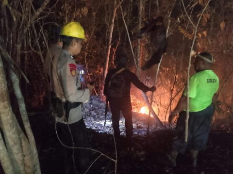 Makin Gawat, Karhutla Mulai Dekati Fasilitas Produksi Migas