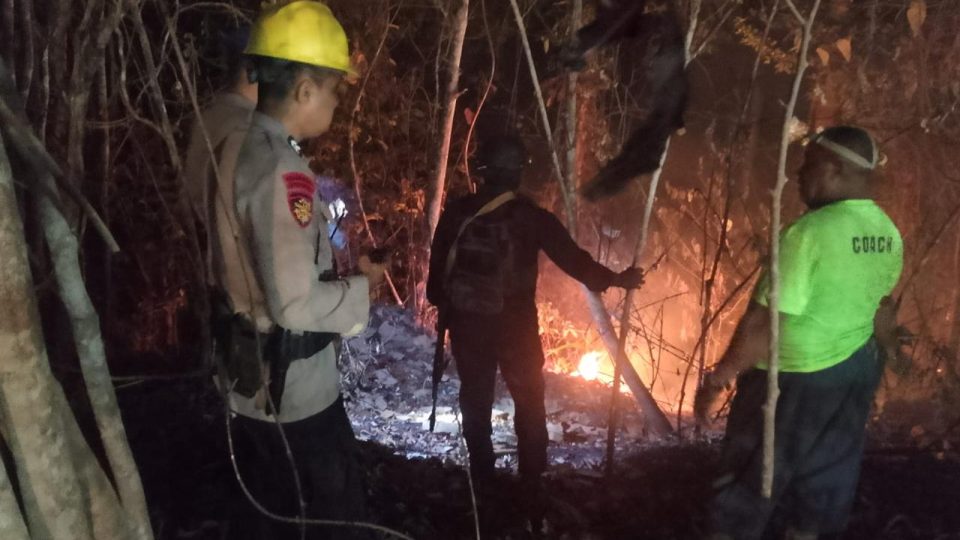 Makin Gawat, Karhutla Mulai Dekati Fasilitas Produksi Migas