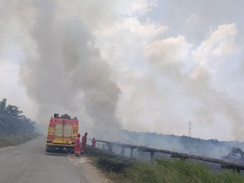 SKK Migas : Karhutla di Sekitar Fasilitas Petrochina Jabung Berhasil Dipadamkan