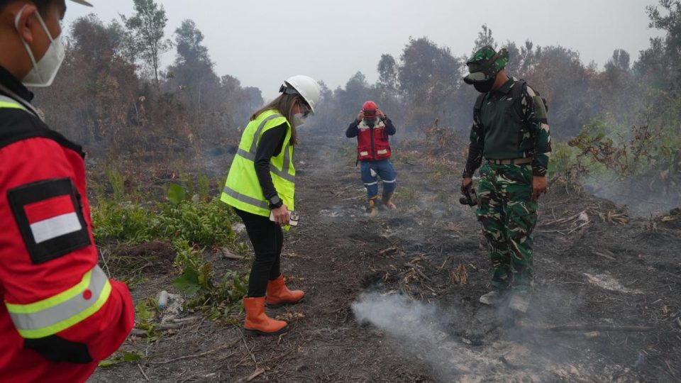 Tanggap Karhutla, MIND ID Kerahkan Bantuan hingga Tahap Pemulihan