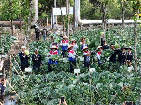 Hari Tani Nasional, Dari Energi Terbarukan, Tumbuh Pangan dan Kemandirian Petani
