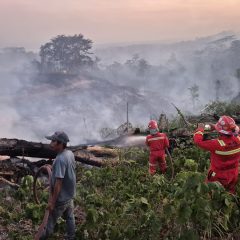 Dari Area Operasional hingga Desa Lingkar Tambang, NHM Tangani Karhutla