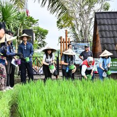 Dirut Pertamina : DEB Mampu Ciptakan Nilai Ekonomi dan Kemandirian