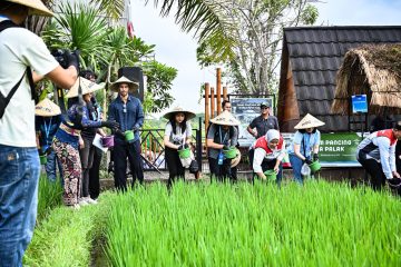 Dirut Pertamina : DEB Mampu Ciptakan Nilai Ekonomi dan Kemandirian